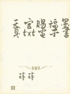 天官赐福墨香铜臭txt电子书