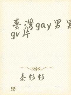 台湾gay男男gv片