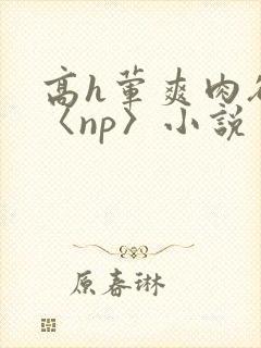 高h荤爽肉欲文〈np〉小说