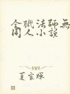 全职法师无女主同人小说