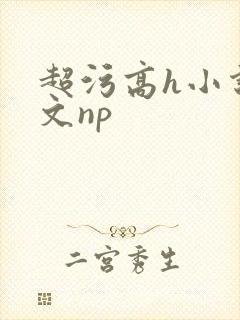 超污高h小说辣文np