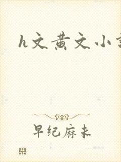 h文黄文小说