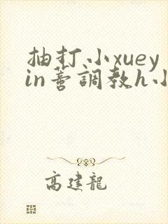 抽打小xueyin蒂调教h小说封面