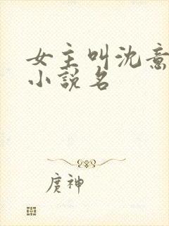 女主叫沈意欢的小说名