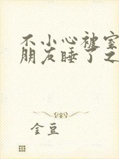 不小心被室友男朋友睡了之后笔趣阁宁笑小说封面