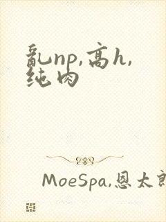 乱np,高h,纯肉