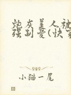 炮灰美人被疯批强制爱(快穿/np总受