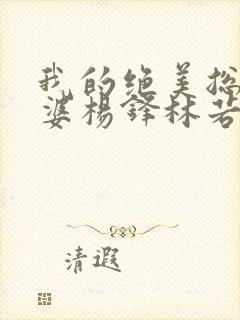 我的绝美总裁老婆杨锋林若彤