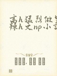 高h猛烈做哭高辣h文np小说