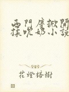 西门庆掀开奶罩揉吮奶小说
