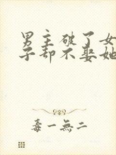 男主破了女主身子却不娶她的小说封面