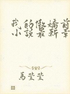 我的傲娇前男友小说最新章节封面