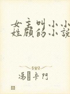 女主叫小小男主姓顾的小说