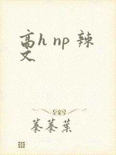 高h np 辣文