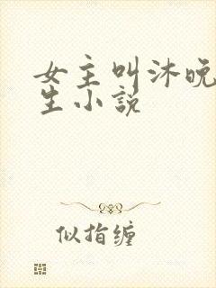 女主叫沐晚的重生小说封面