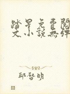 踏星免费阅读全文小说无弹窗