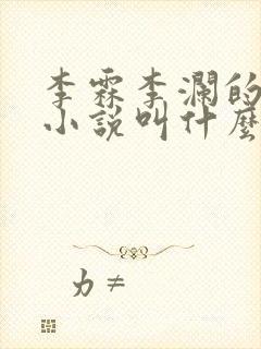 李霖李澜的官场小说叫什么名字啊