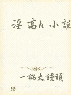 淫 高h 小说