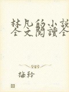 林凡的小说免费全文阅读全文