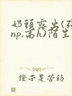 奶头露出(强jnp,高h)陌生人小说小说