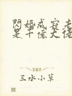 闪婚成宠老公竟是千亿大佬短剧