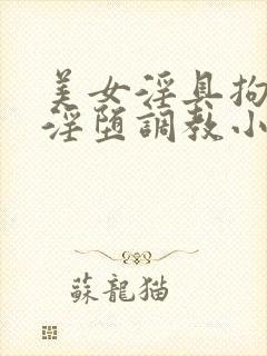 美女淫具拘束衣淫堕调教小说封面