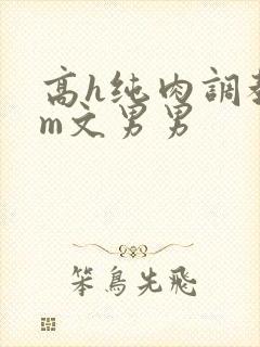 高h纯肉调教sm文男男