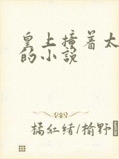 皇上撞着太子妃的小说封面