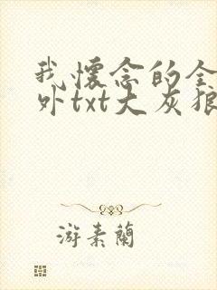 我怀念的全文番外txt大灰狼封面