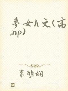 梦女h文(高h,np)封面