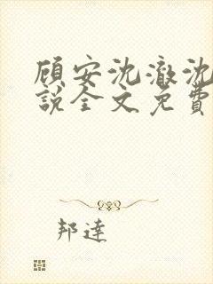 顾安沈澈沈清小说全文免费阅读