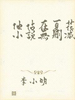 他站在夏花绚烂小说无删减正版在线阅读