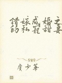 错嫁成婚之总裁的私宠甜妻封面