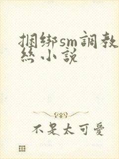 捆绑sm调教白丝小说
