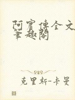 阿宾传全文阅读笔趣阁
