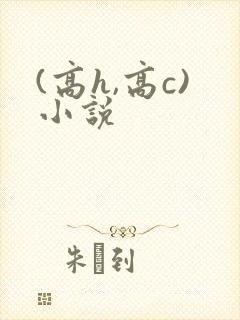 (高h,高c)小说