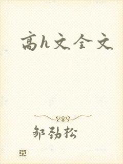 高h文全文