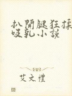 扒开腿狂揉大胸吸乳小说