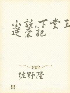 小说,下堂王妃逆袭记