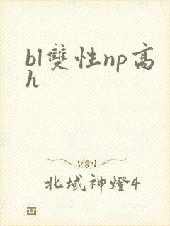 bl双性np高h