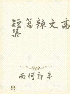 短篇辣文高h合集封面