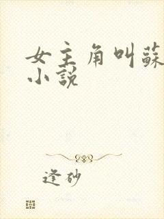 女主角叫苏念的小说