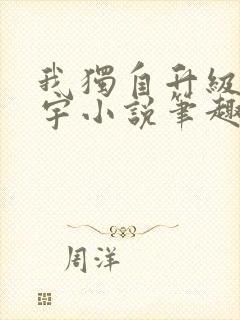 我独自升级肖程宇小说笔趣阁