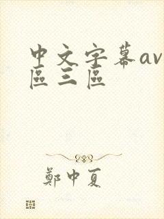 中文字幕av二区三区