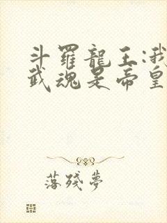 斗罗龙王:我的武魂是帝皇铠甲笔趣阁