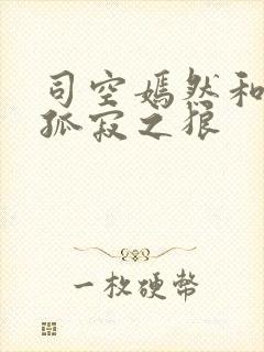 司空嫣然和叶凡孤寂之狼