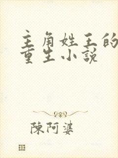 主角姓王的都市重生小说封面