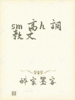 sm 高h 调教文