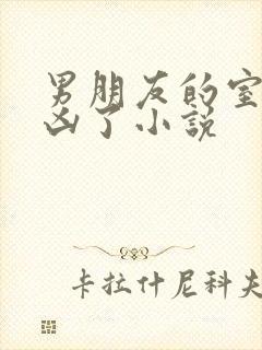 男朋友的室友太凶了小说