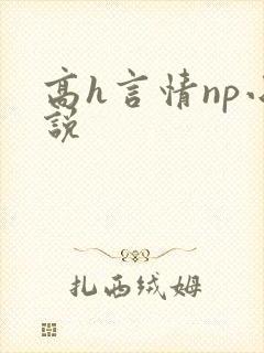高h言情np小说封面